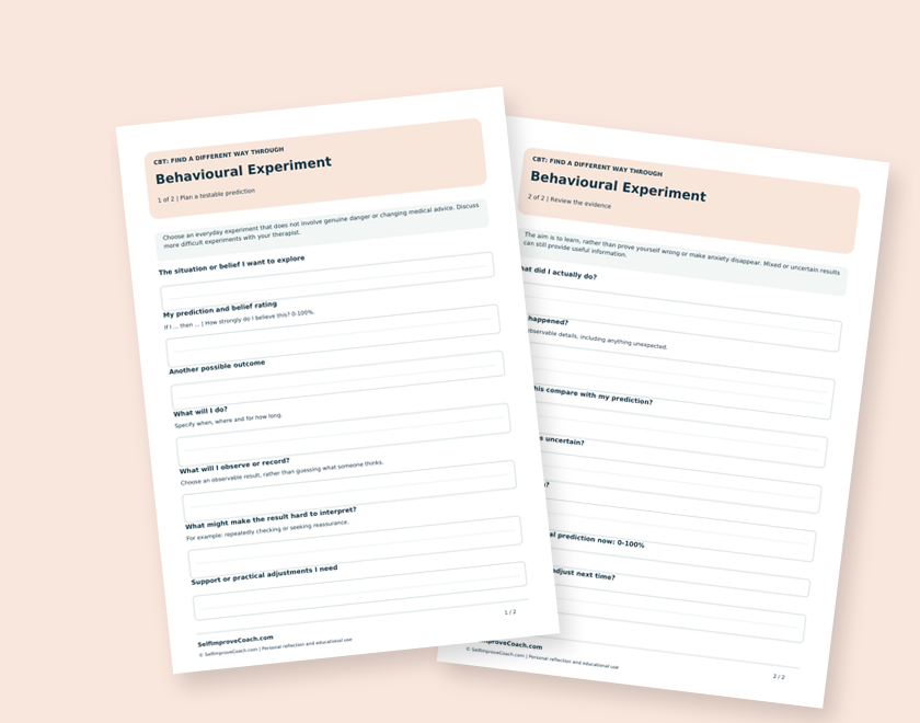 Preview of the actual behavioural experiment worksheets